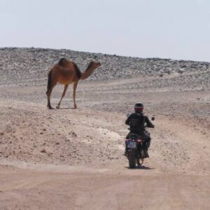 Trail VALLE DEL DRAA