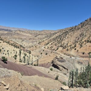 Trail ATLAS